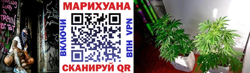 Виды наркоты Суджа ссылка на мегу ссылки  Каннабис  А ПВП  Меф  Амфетамин  КОКАИН  Гашиш 