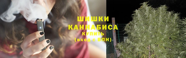 индика Лагань
