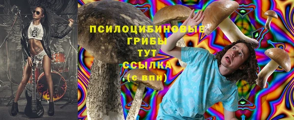 альфа пвп Куйбышев