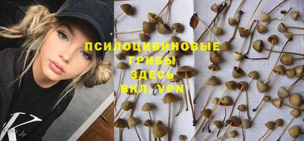 альфа пвп Куйбышев