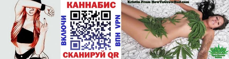 Бошки марихуана THC 21%  KRAKEN как зайти  Суджа 